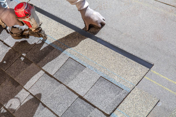Best Roof Gutter Cleaning  in Granvle, IL